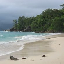 Riots erupt in Haiti over Trump's offensive remarks