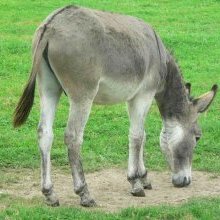 I hope that the Left will eventually understand that.......