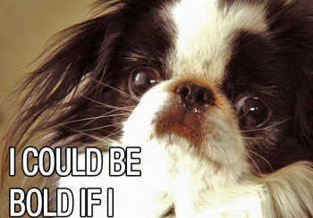 story image about china and outlawed