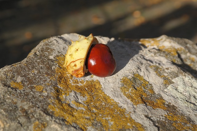 Check out my wizard's sleeve