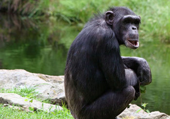 story image about 2014 and apprentice