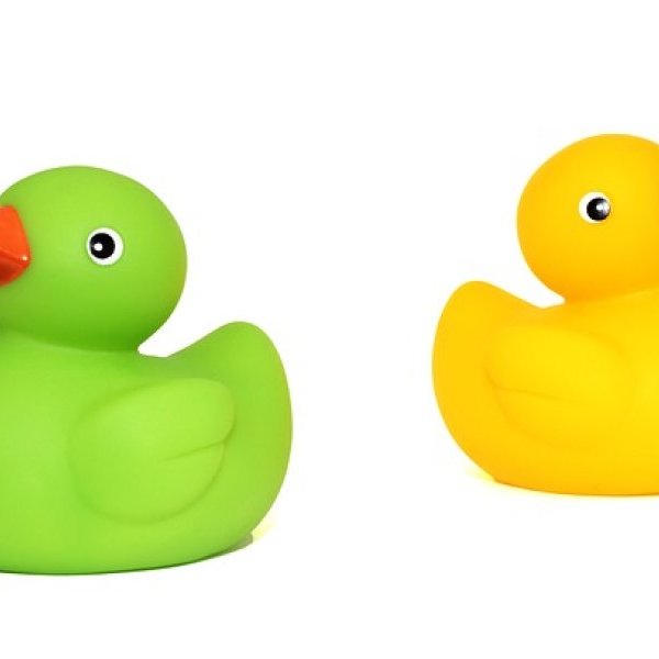 Quackalarm World is Largest Collection of Rubber Ducks Goes Missing
