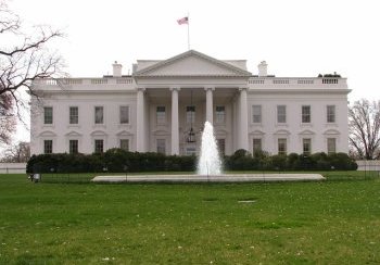 story image about attached and Griffin