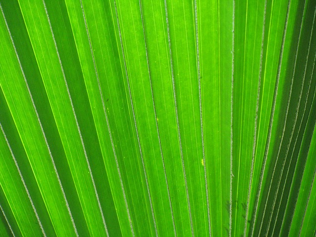 The Brilliance of James