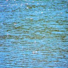 Glitter Critter: Devon Man Arrested for Sparkling Too Brightly in Public