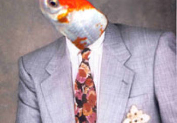 story image about comeby and fish