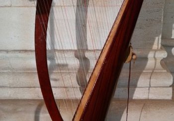 story image about Anyone can and Anyone can use my voice