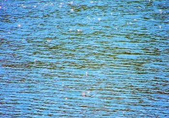 story image about Brightly and Devon Man