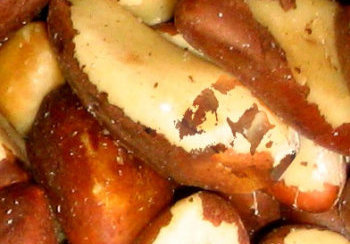 story image about brazil and hitler