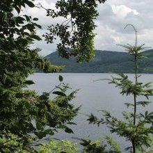 King Charles and Loch Ness Monster "snapped" together