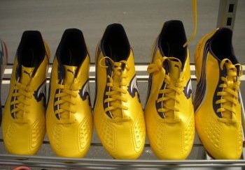 story image about Bolt and burrito