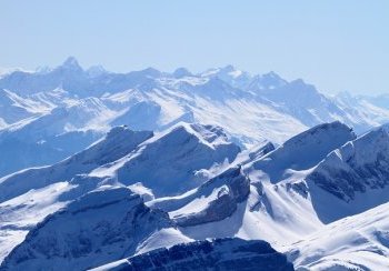 story image about Roger and make Roger Federers birthday public holiday