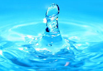 story image about castration and penis