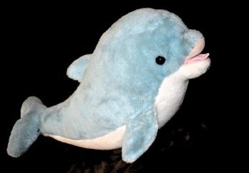 story image about Djokovic and dolphins