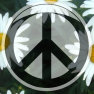 thumbnail for item Peace, with flower