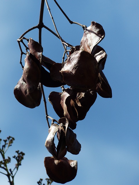 Please wallpaper my flat