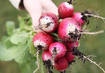 story image about gender references and good fun