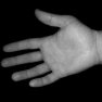 thumbnail for item Reaching for a hand print