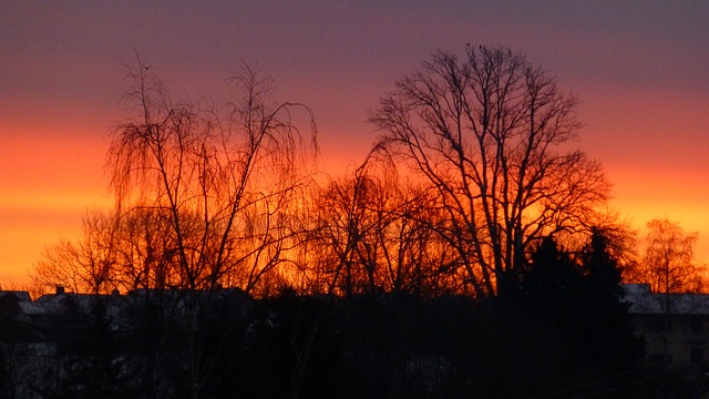 And in the morning the rash should be gone