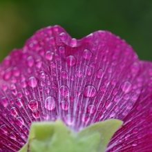 Writers' Strike Leaves America Wondering Who Will Tell Them What to Laugh At