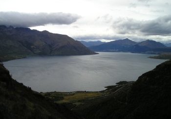 story image about kiwi and nationals