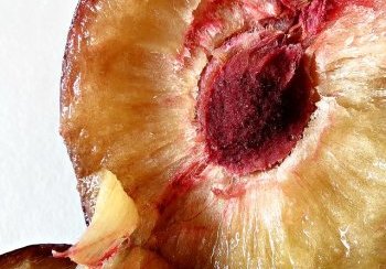 story image about Cohen and movie