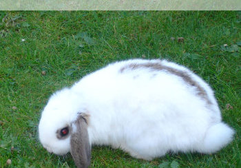 story image about darth vader and entertainment