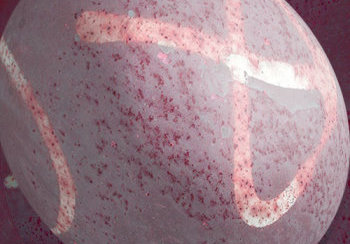 story image about gonad and health