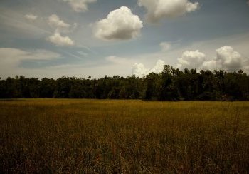 story image about dark and dark stranger