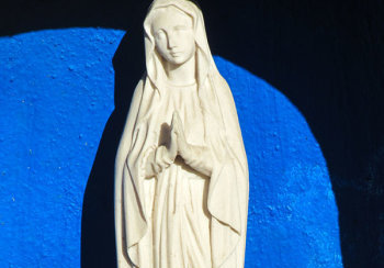 story image about satire and training