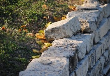 story image about Bramble and business