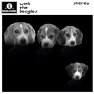 thumbnail for item A dog album With The Beagles